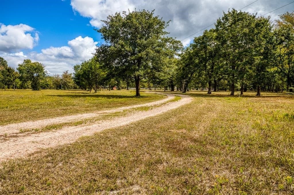 33.6 acres in Grimes County