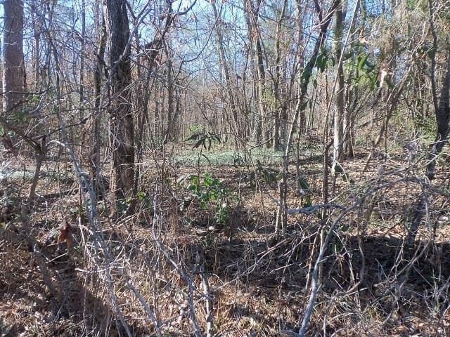 0.72 acres in Gregg County