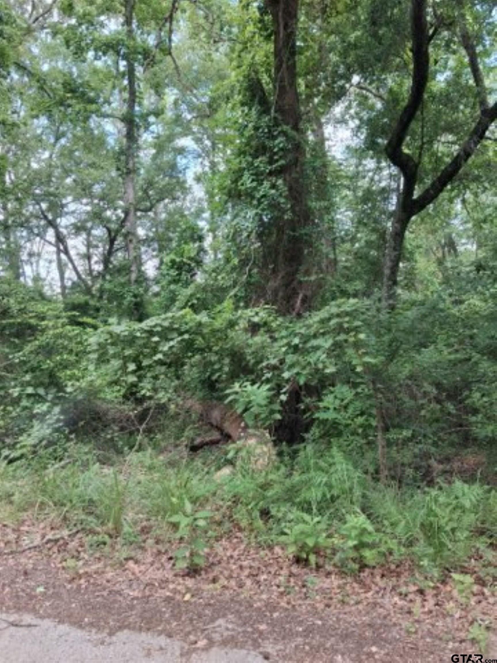 0.88 acres in Van Zandt County
