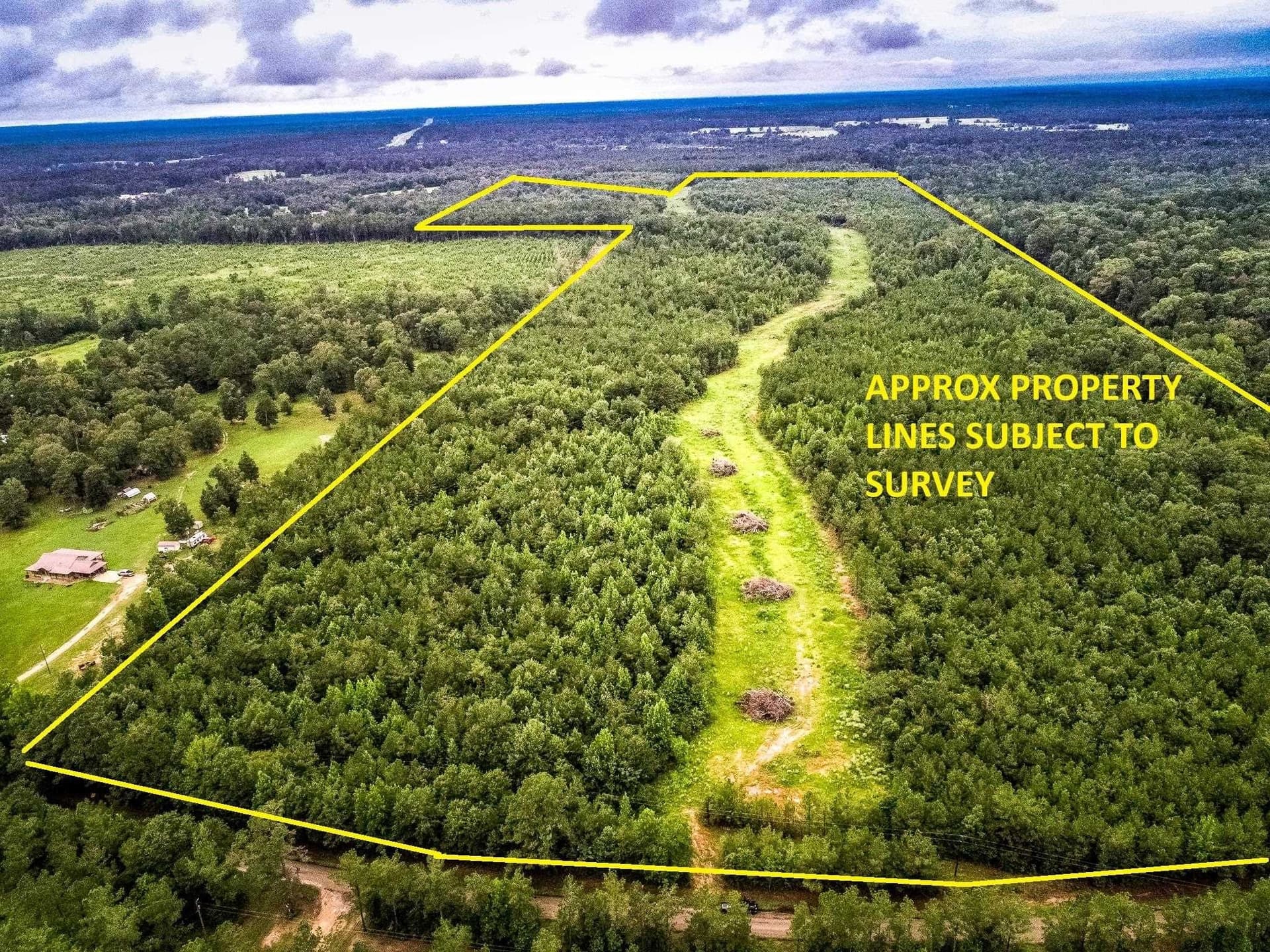 150.17 acres in Panola County