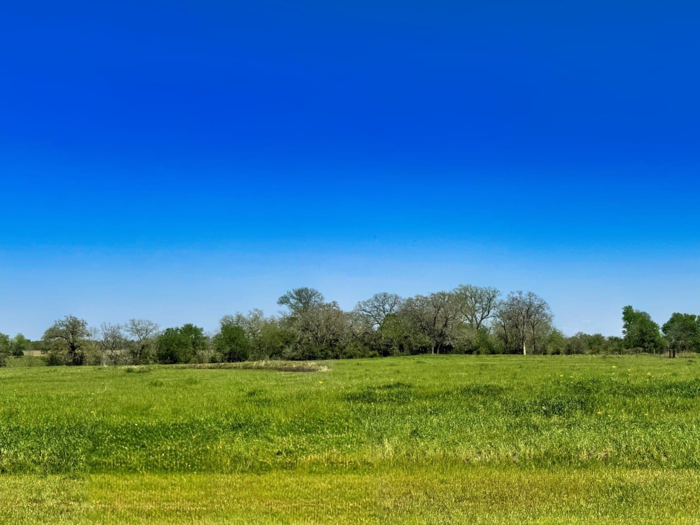1.04 acres in Grimes County