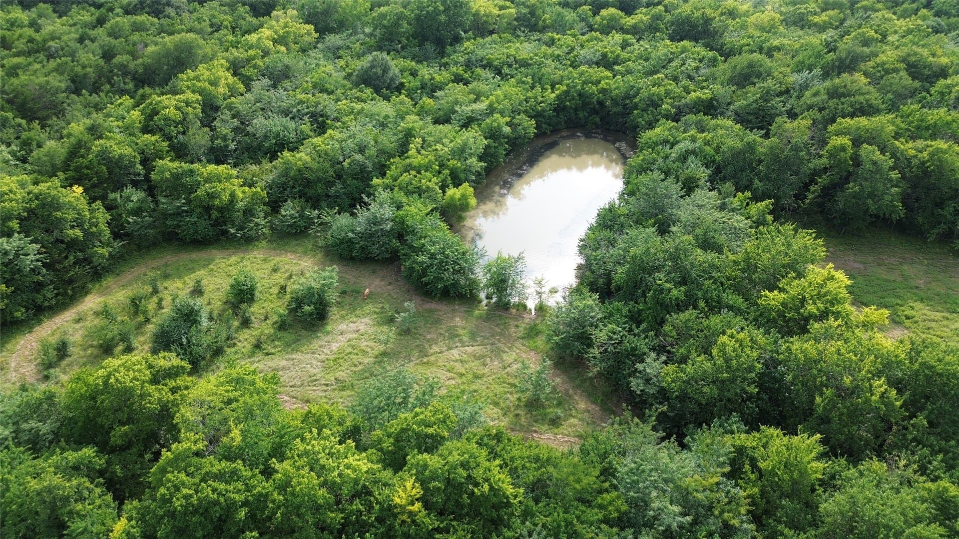 77.34 acres in Hunt County
