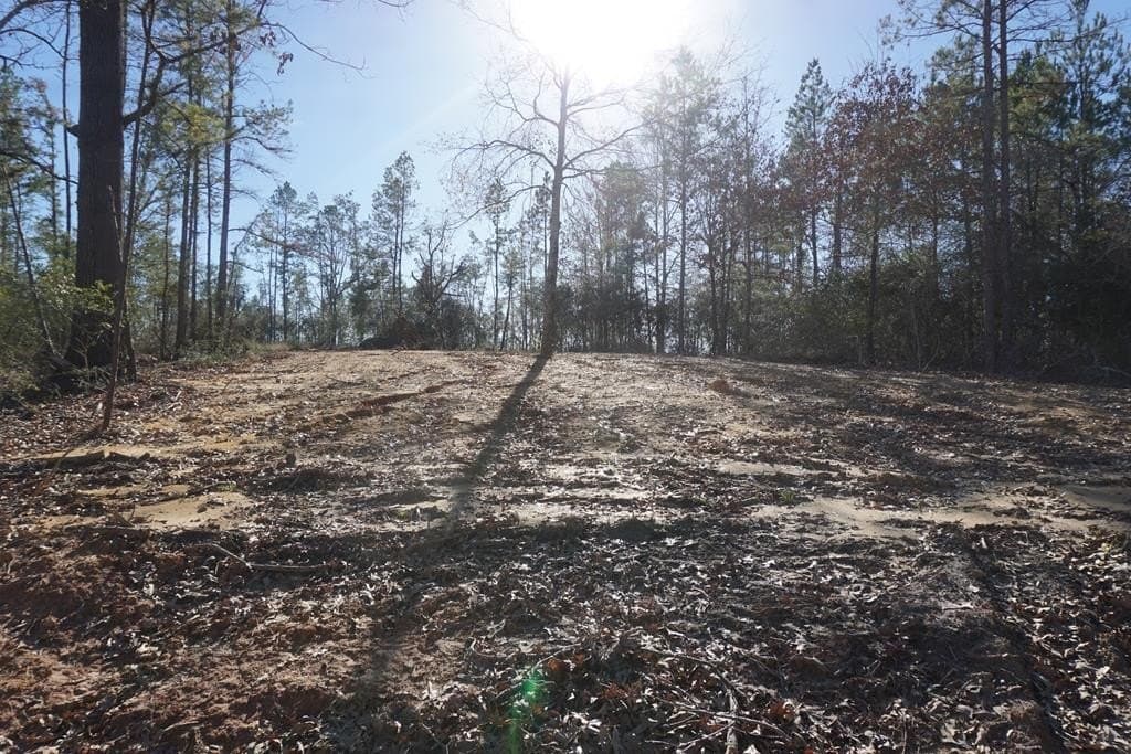 16.92 acres in LEON County