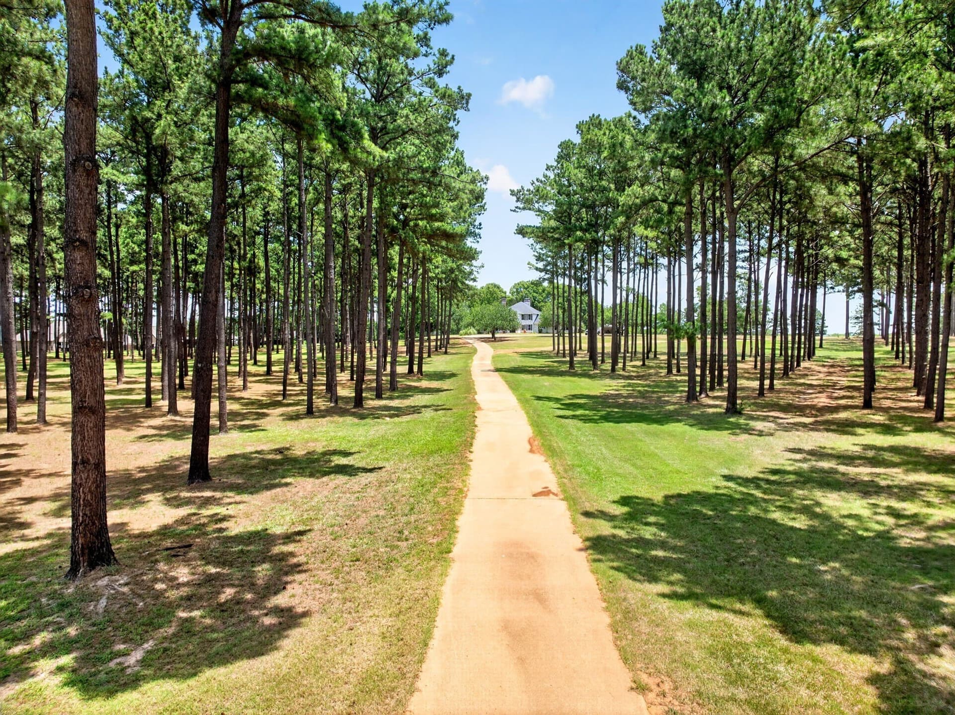 12.5 acres in Henderson County