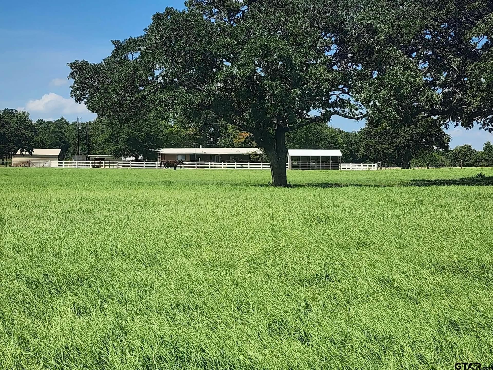 24.58 acres in Henderson County