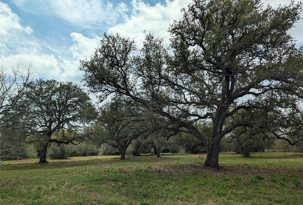 7.69 acres in Fayette County