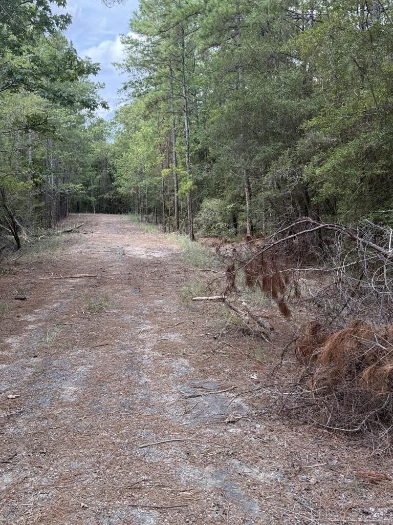 0.18 acres in Texas County