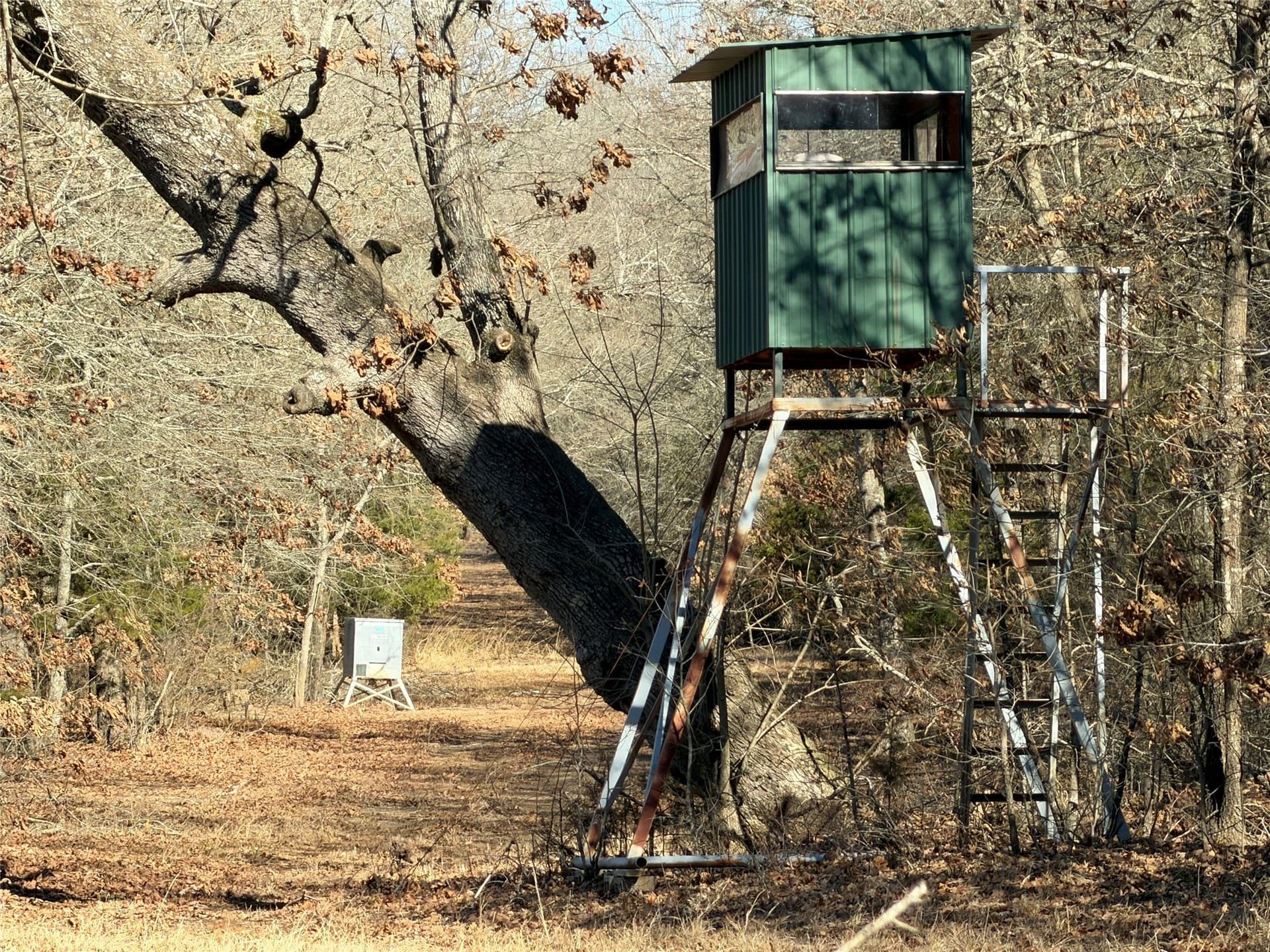 226 acres in Lamar County