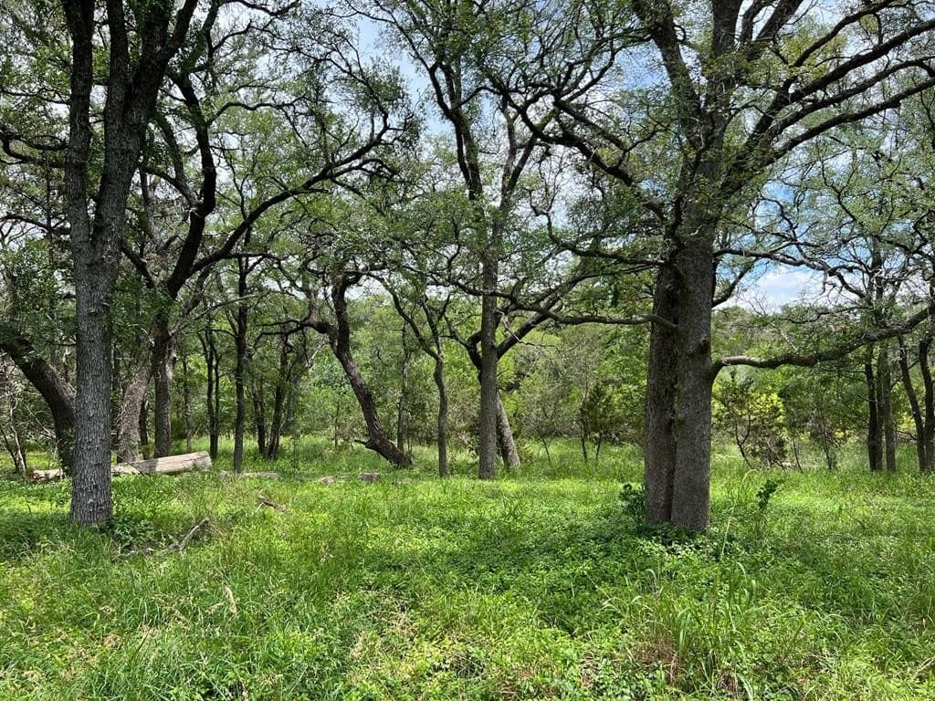 2.68 acres in Blanco County