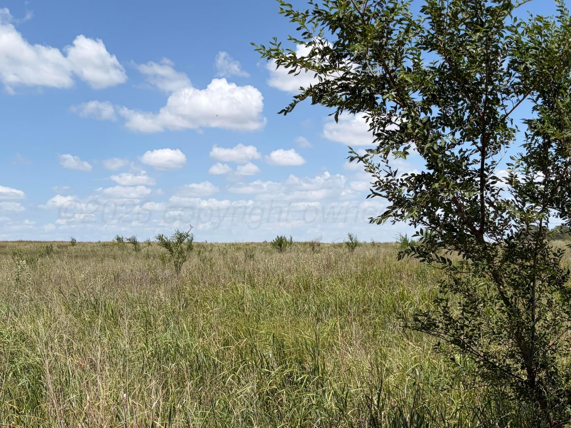 38.25 acres in Texas County