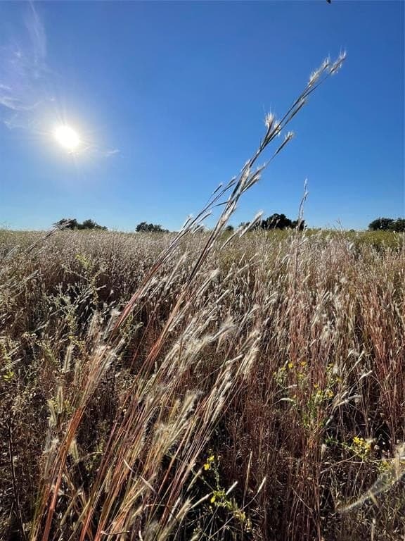 11.5 acres in Van Zandt County