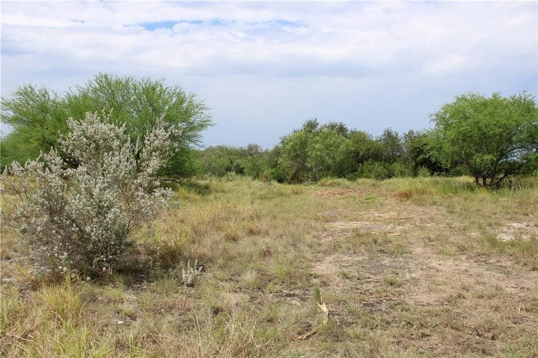 2.15 acres in Live Oak County