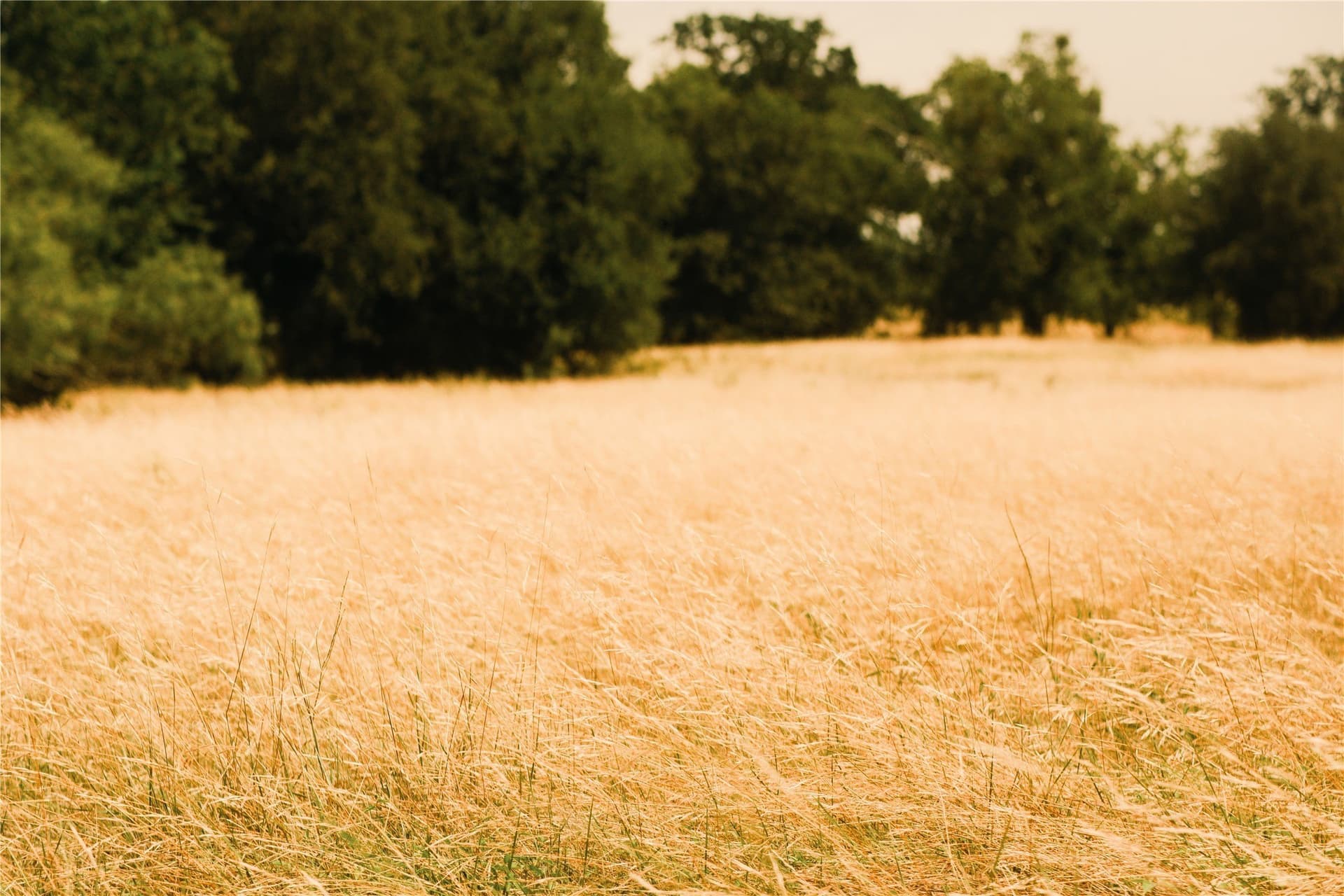23.1 acres in Hood County