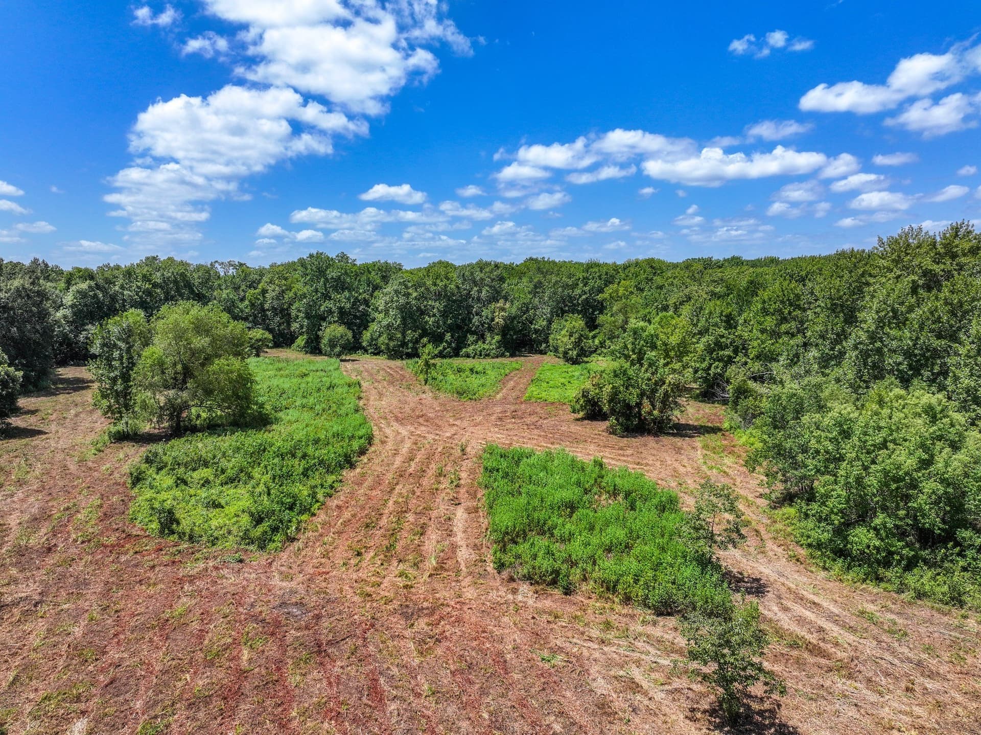 146.5 acres in Leon County