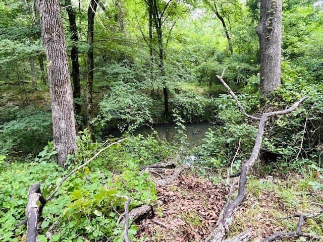 24 acres in Van Zandt County