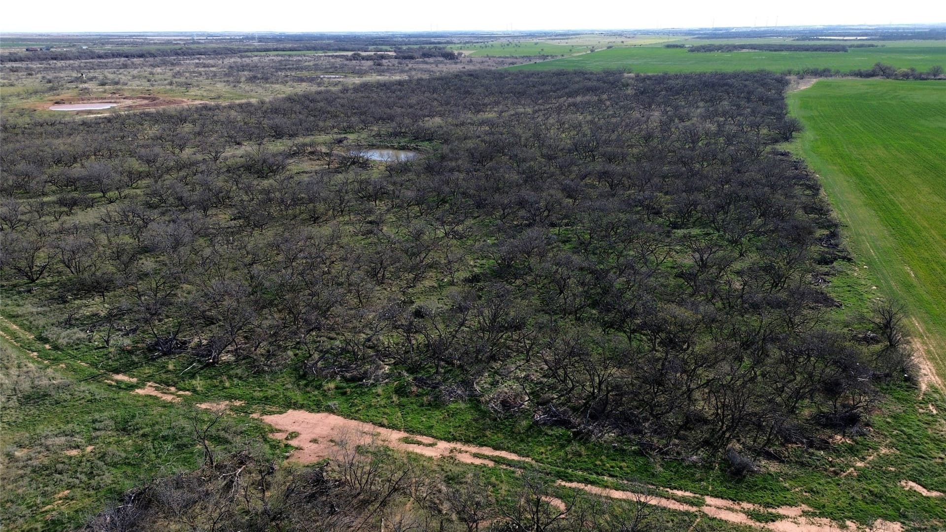 160 acres in Archer County