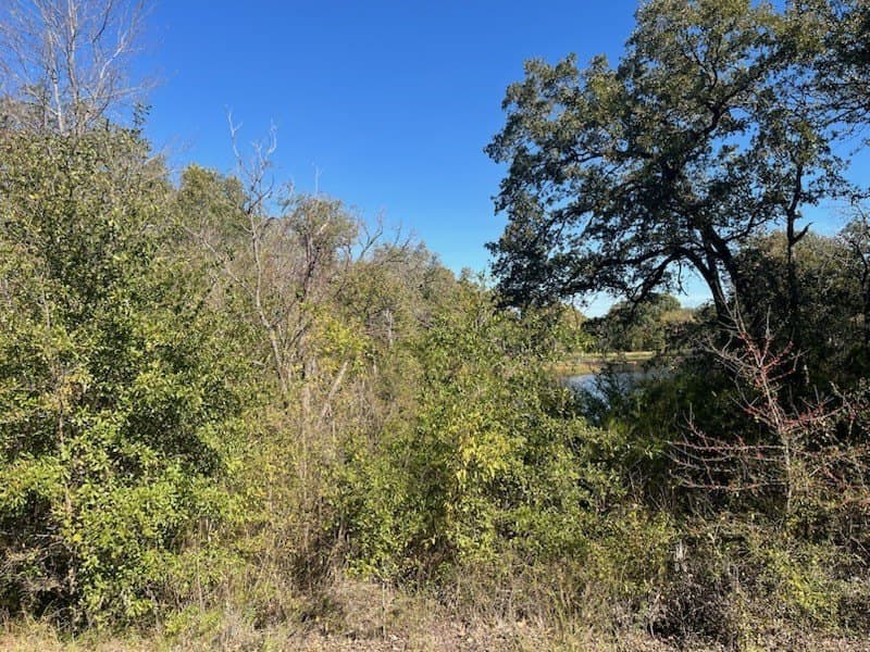 0.82 acres in Freestone County