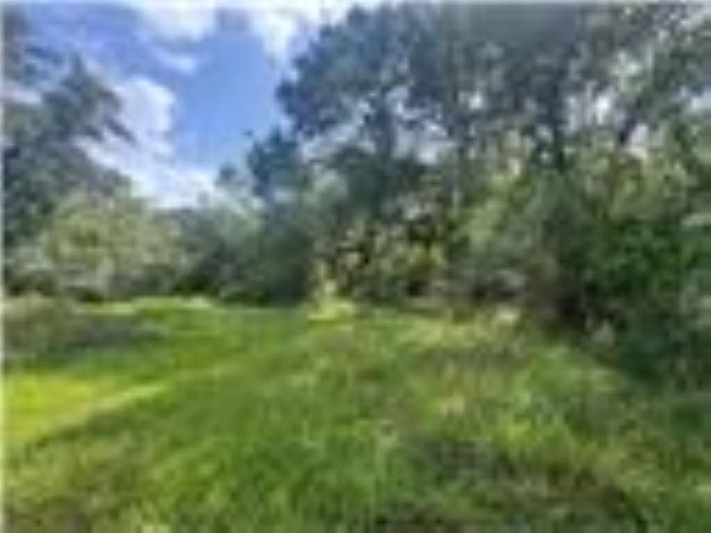 33.9 acres in Wharton Area County