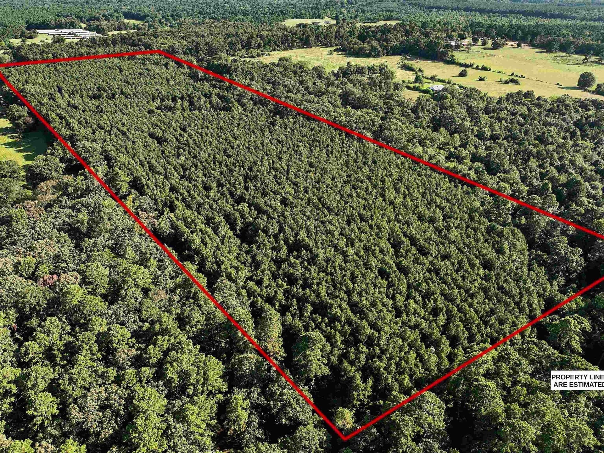 31.52 acres in Texas County