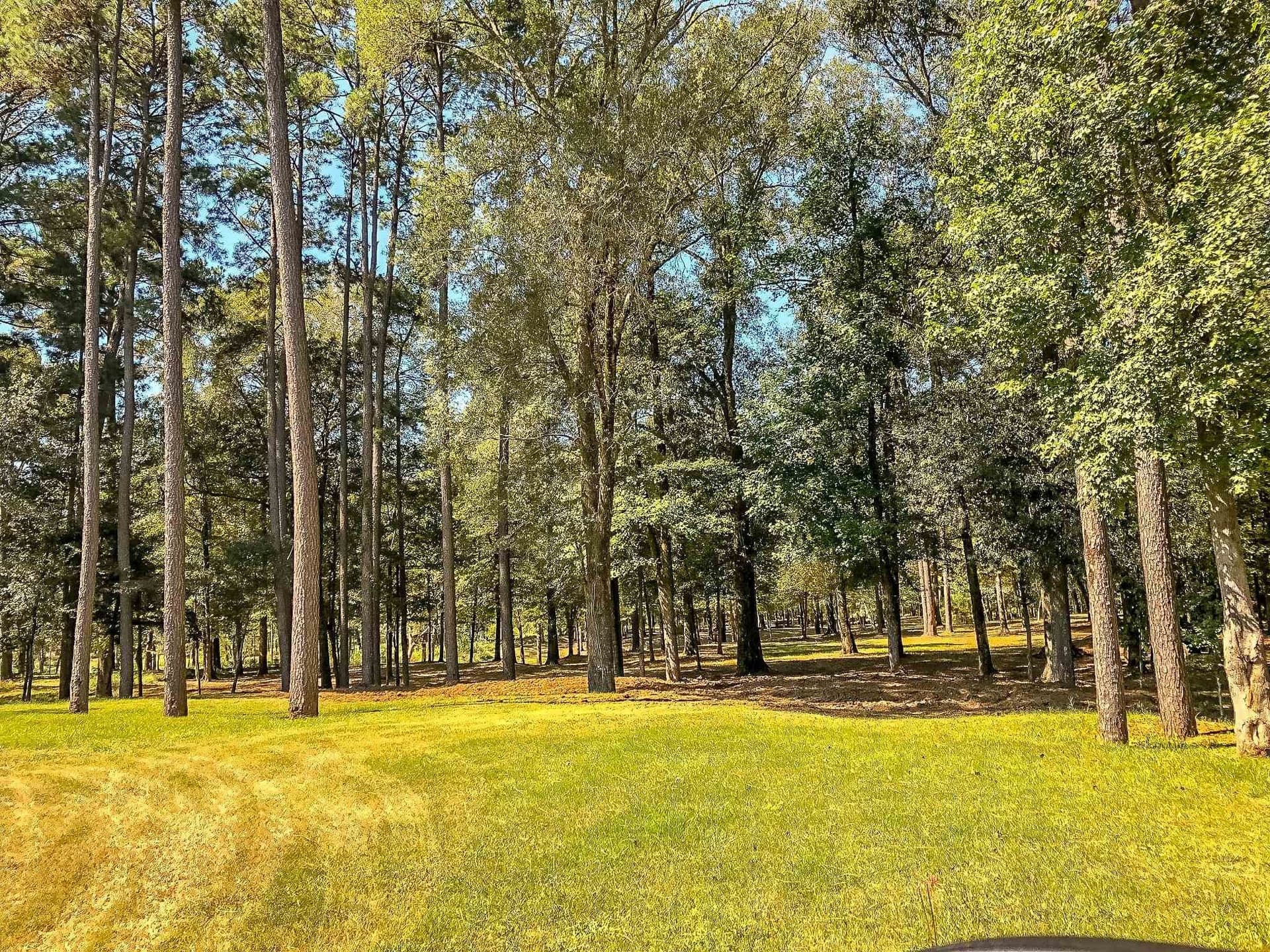 28 acres in Marion County