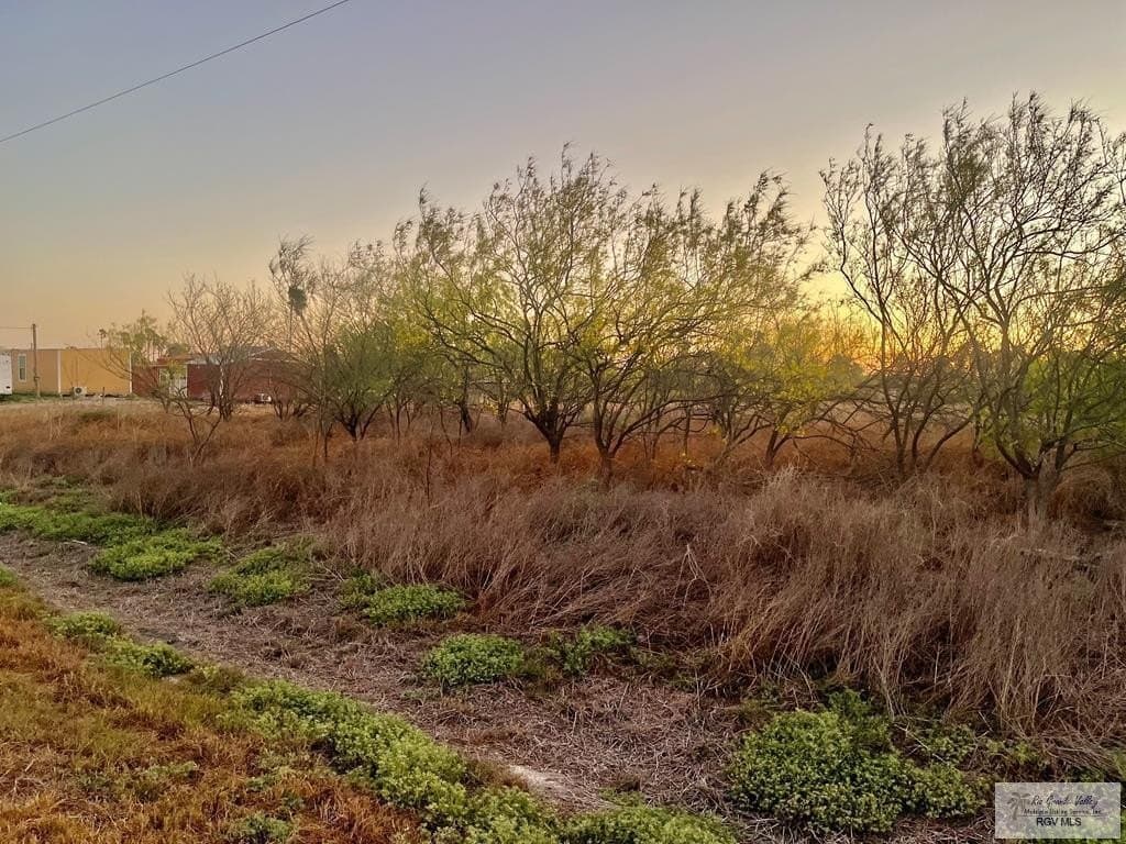 14.33 acres in CAMERON County