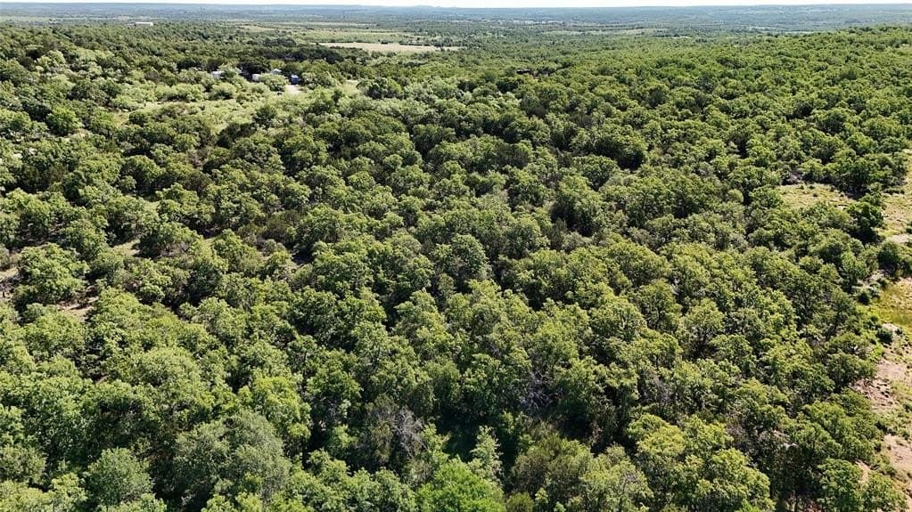43 acres in Young County