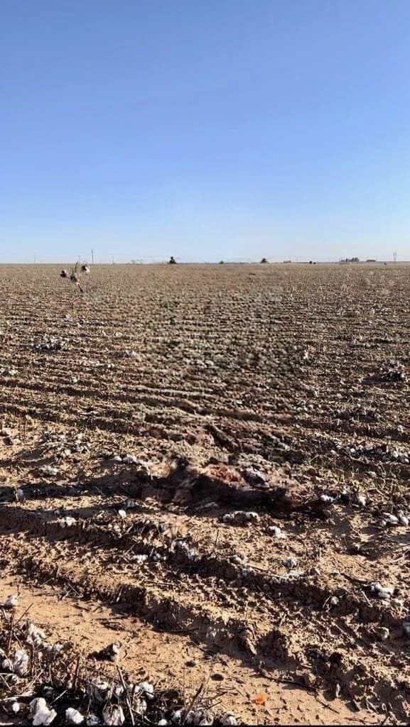 0 acres in Hockley County