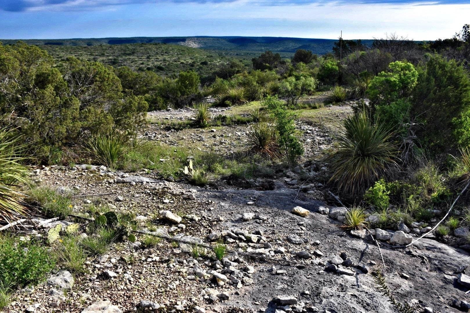 112.57 acres in Val Verde County