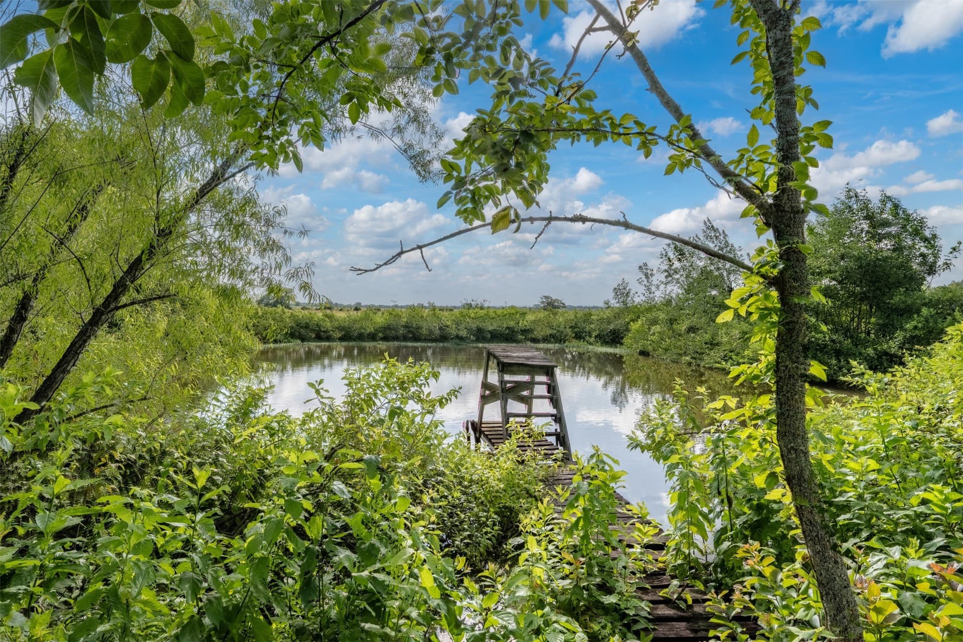 43.1 acres in Lamar County