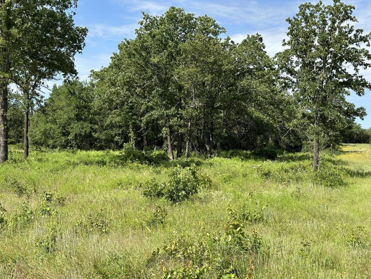 5.24 acres in Palo Pinto County