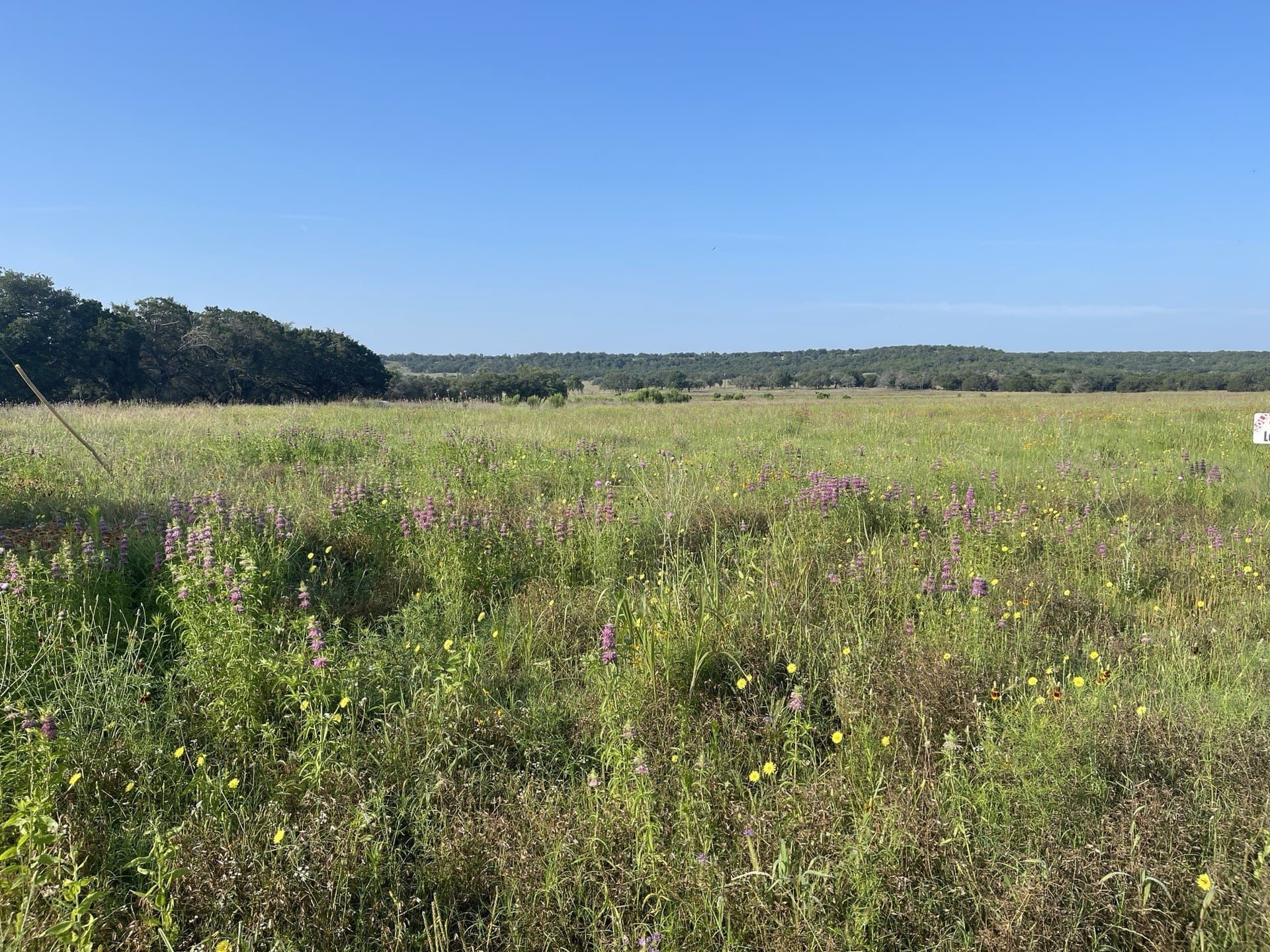 10.02 acres in Coryell County
