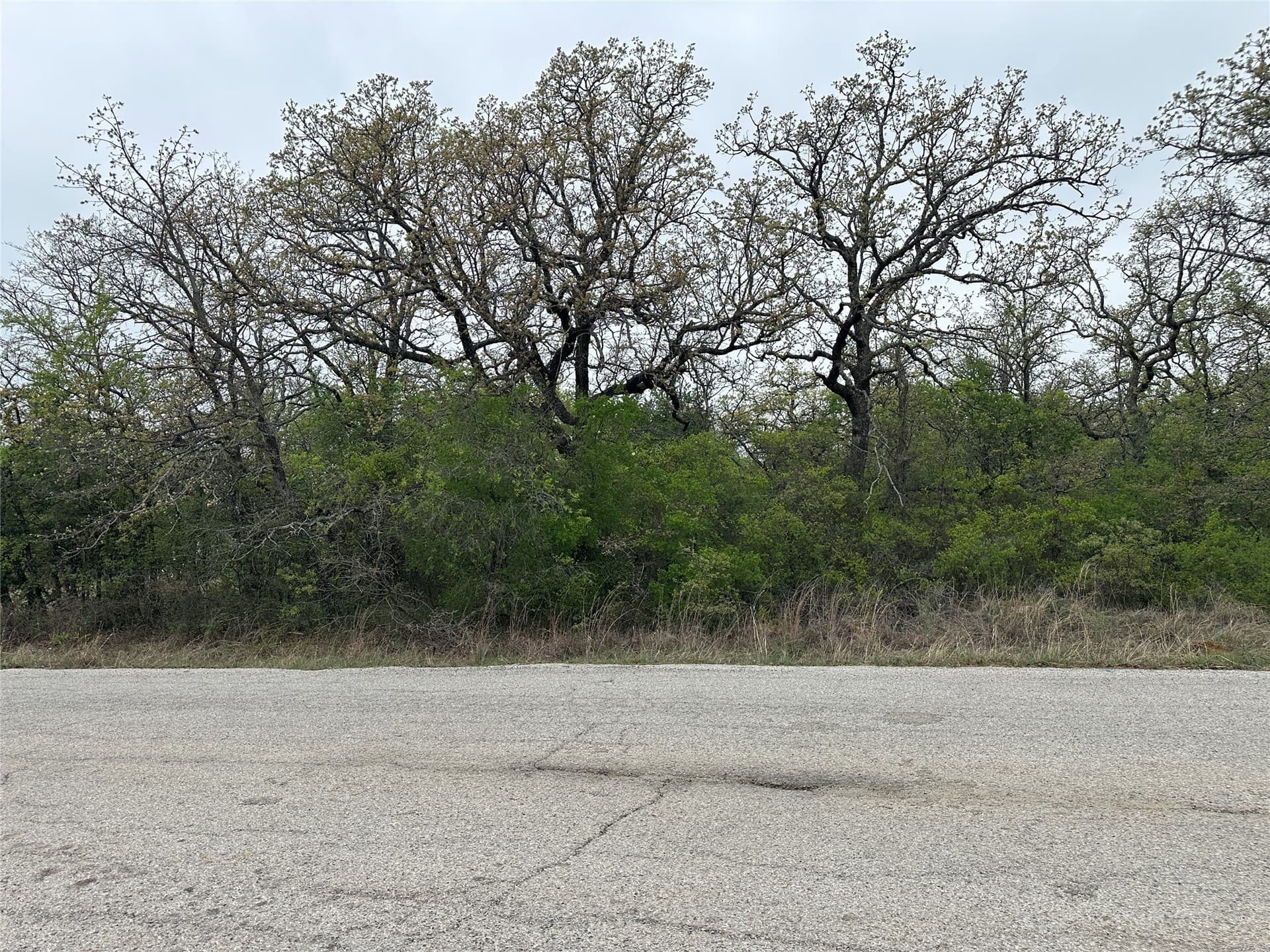 0.3 acres in Wise County