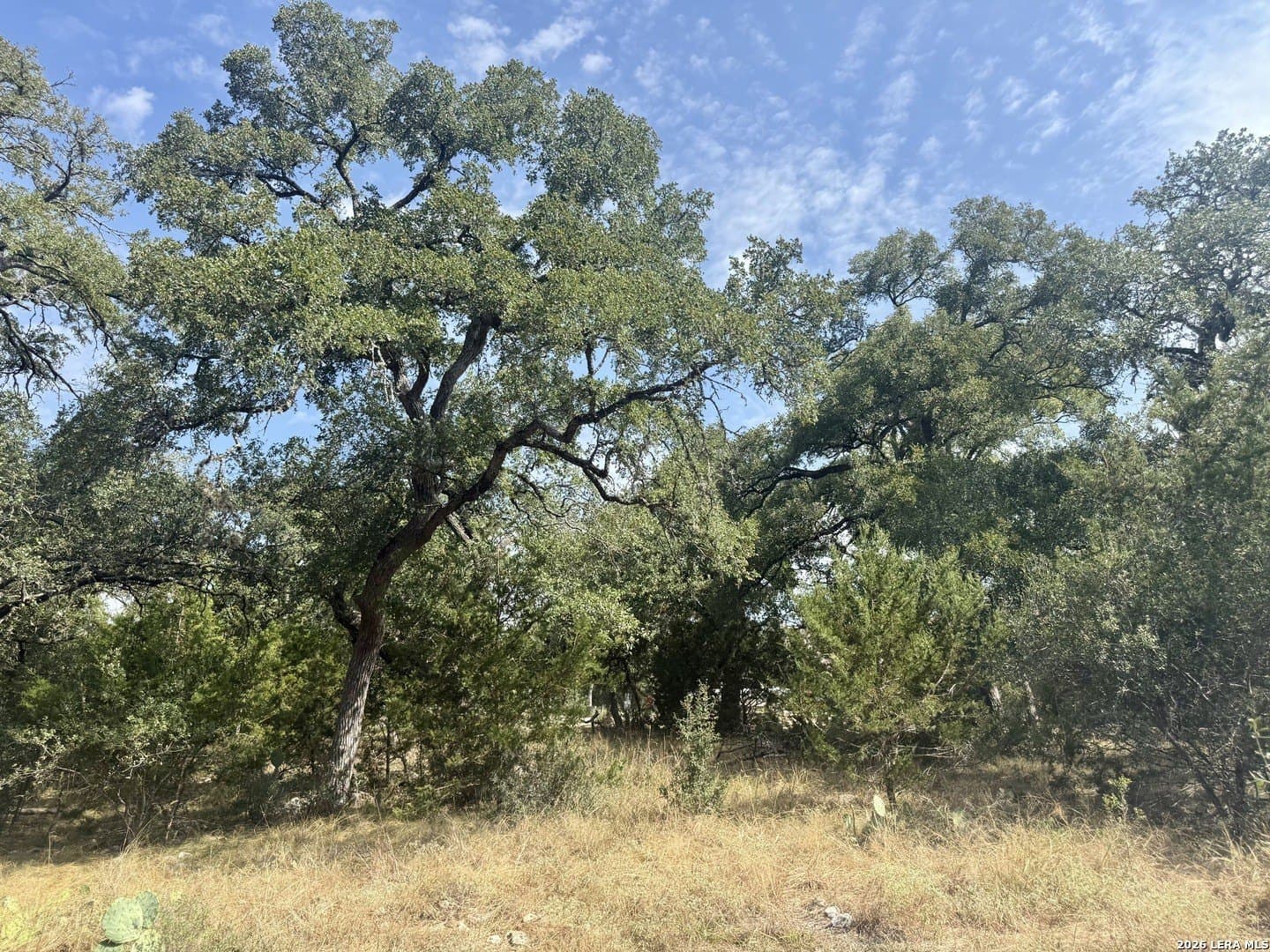 0.4 acres in Blanco County