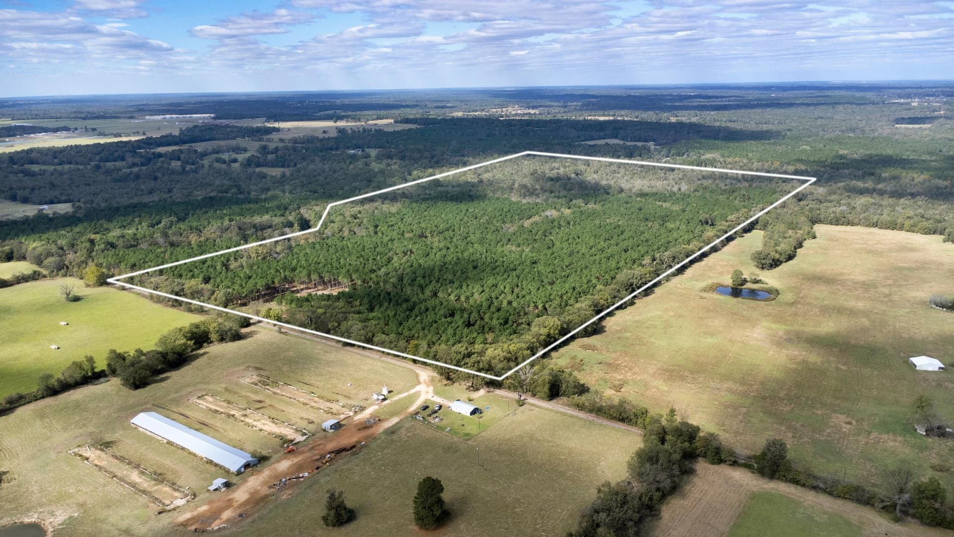 95.04 acres in Upshur County