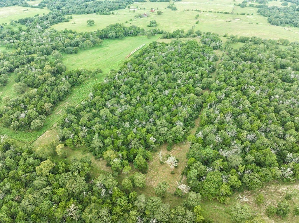 14.77 acres in Fayette County