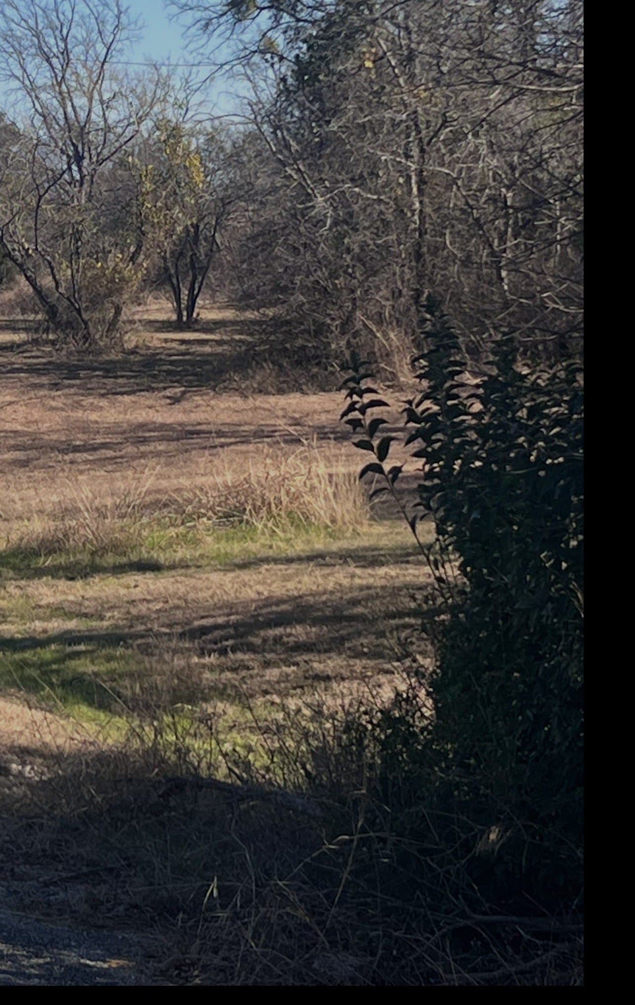 0.51 acres in Wise County