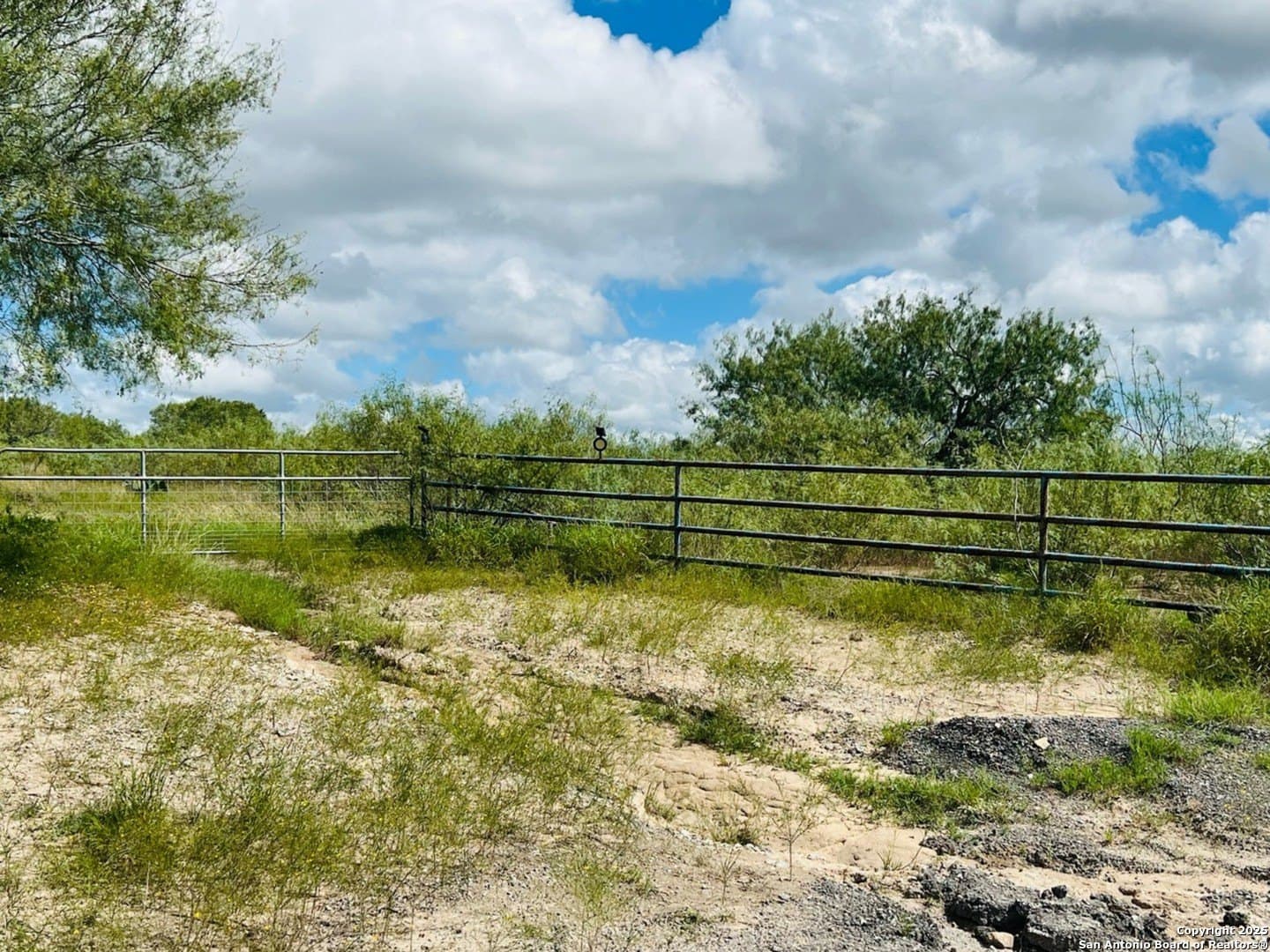 5 acres in Live Oak County