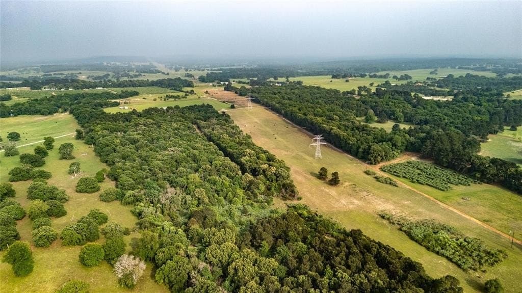40 acres in Henderson County