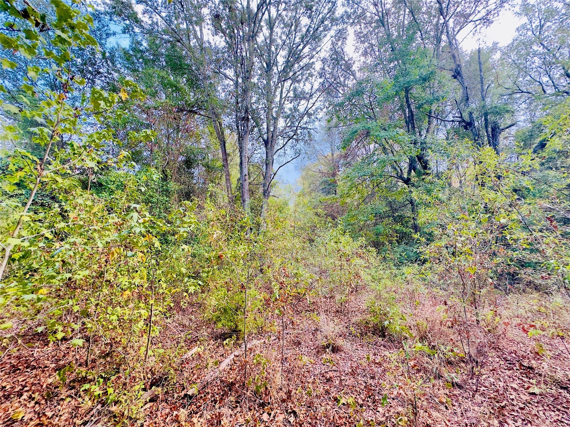 1 acres in Upshur County