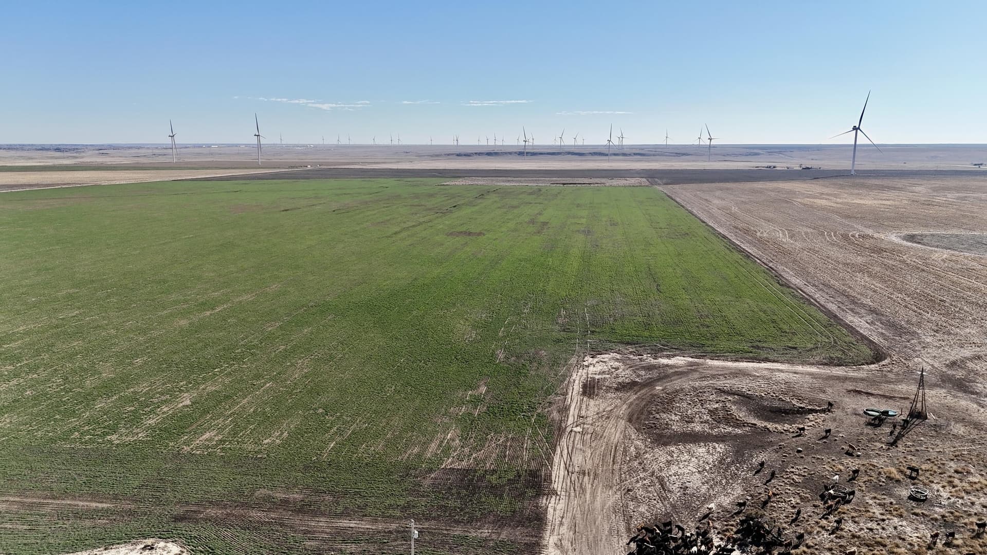 652 acres in Armstrong County