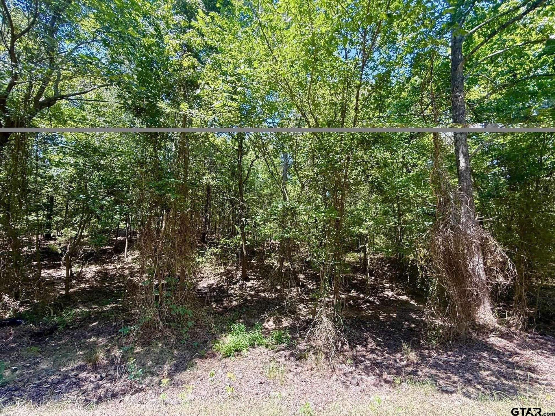 2.6 acres in Titus County