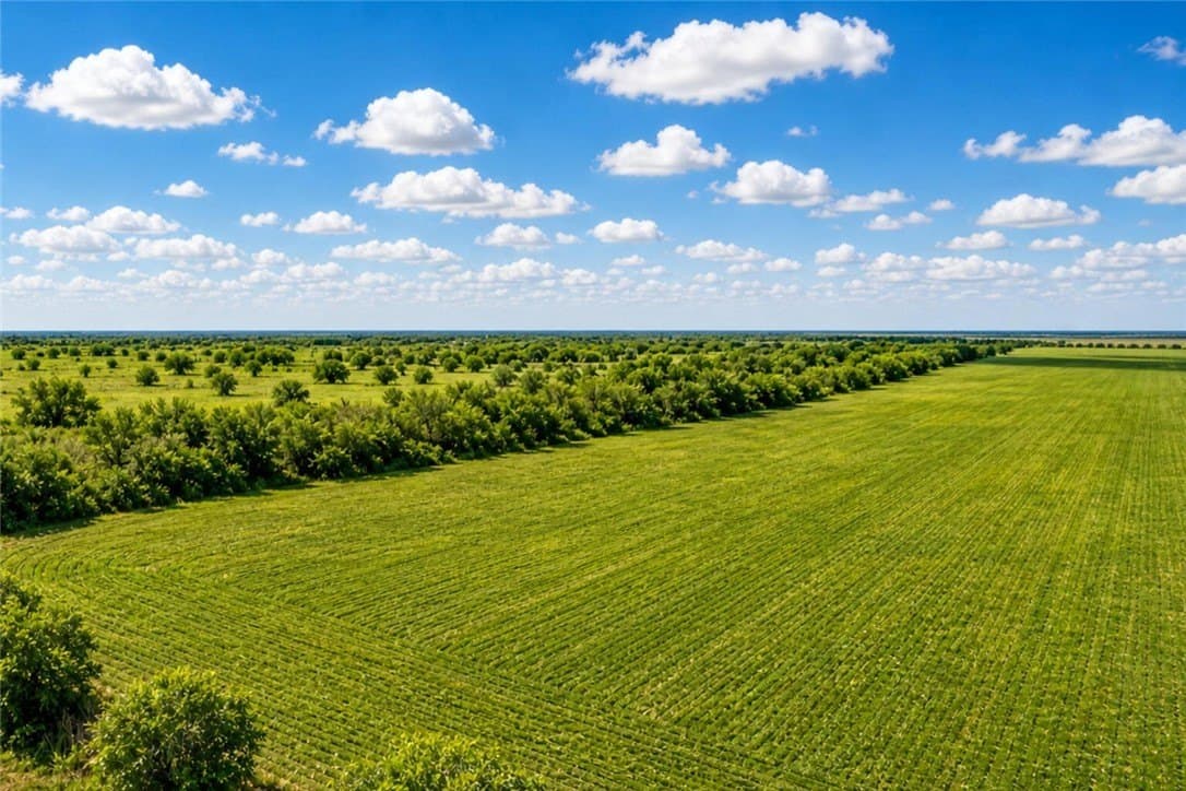 10 acres in Nueces County