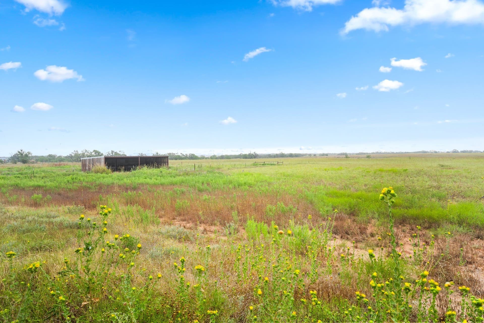 182.6 acres in Callahan County