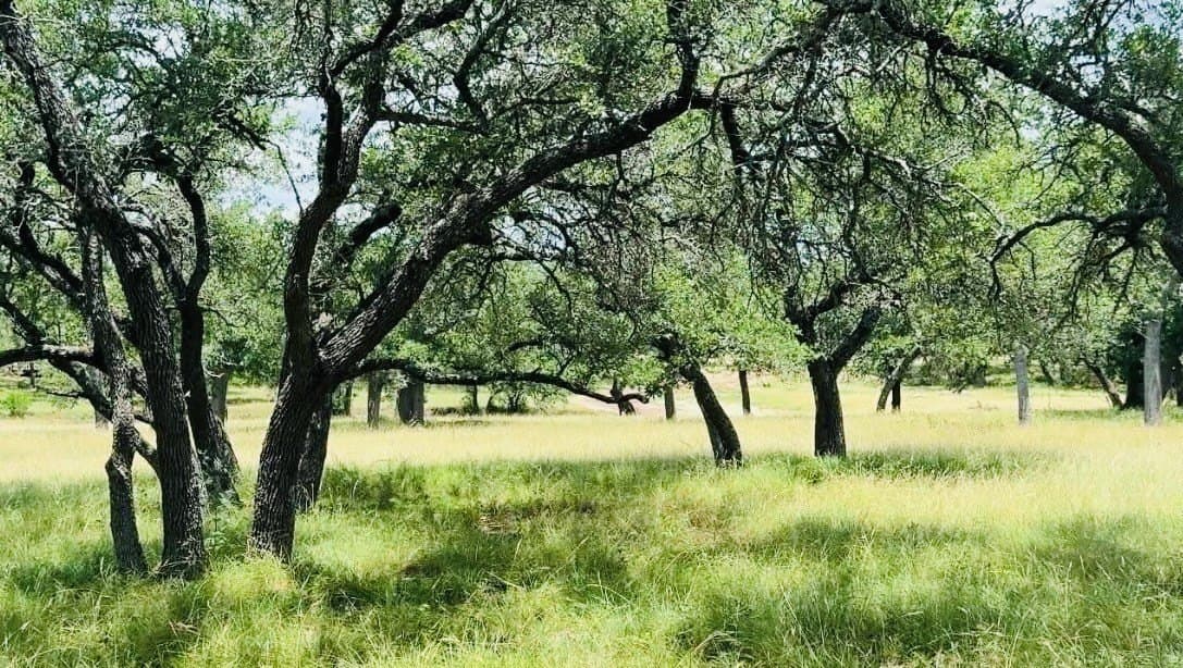 4 acres in Blanco County