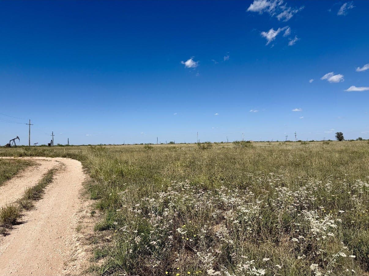 440 acres in Terry County