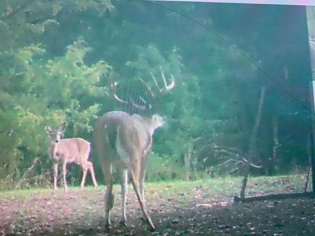 10.34 acres in Limestone County