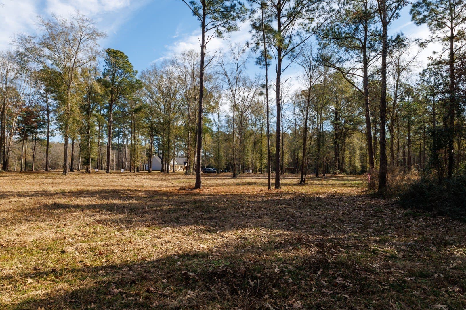 0.7 acres in Shelby County