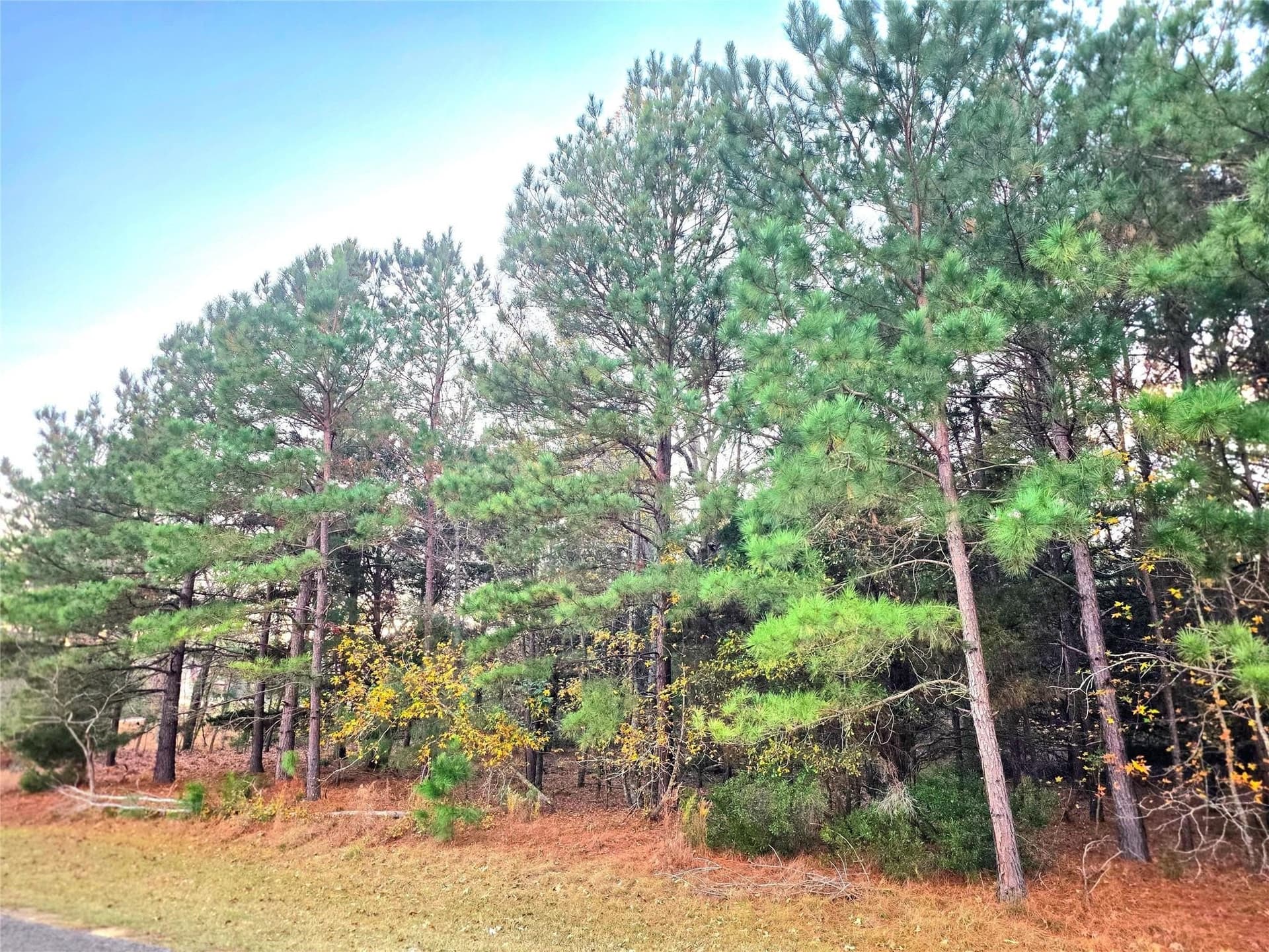 2.01 acres in Henderson County