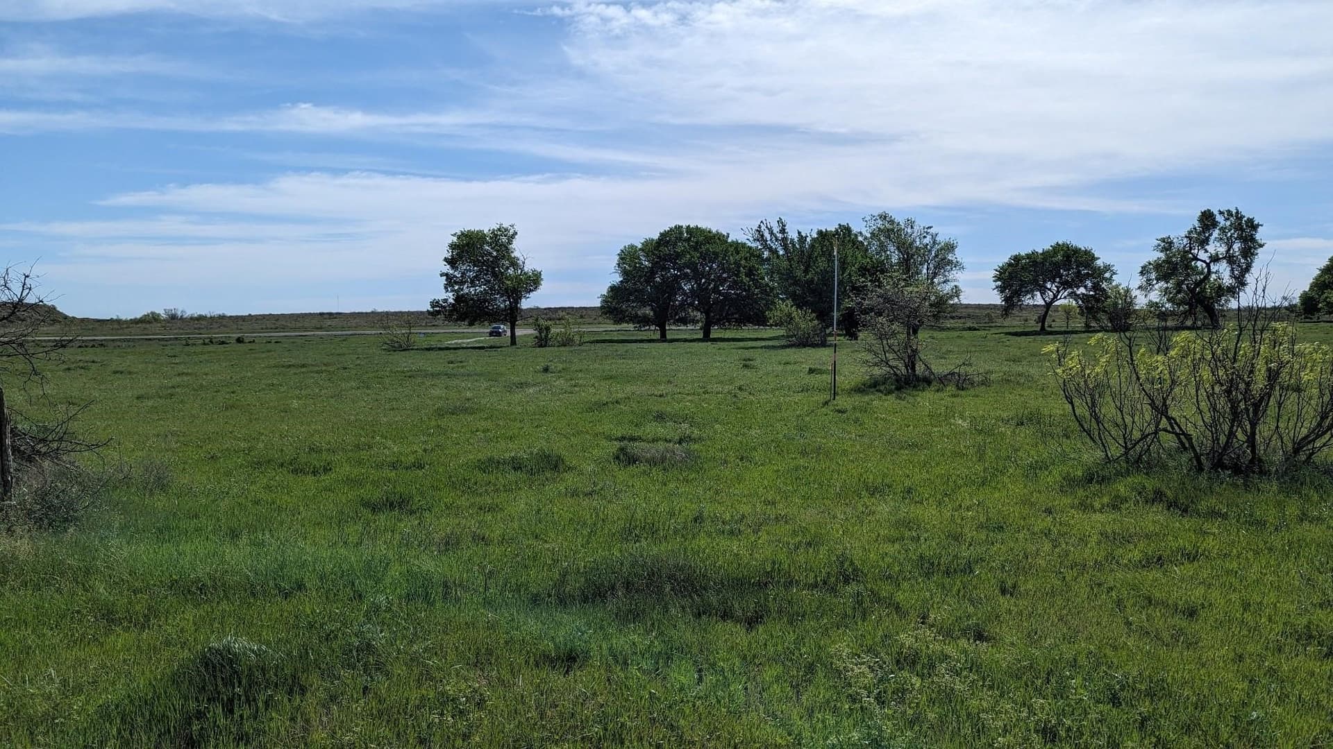 10.01 acres in Montague County