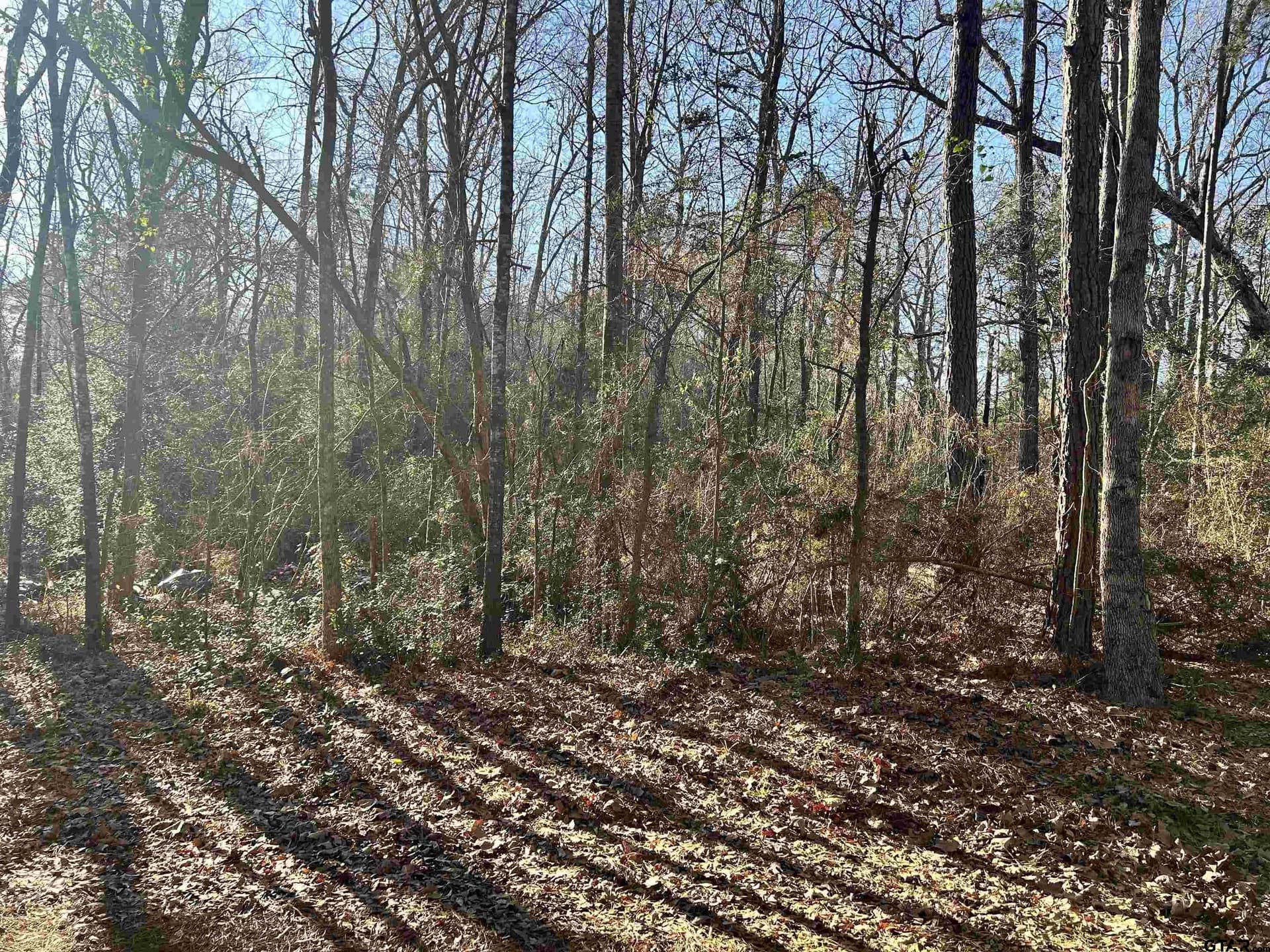 18 acres in Rusk County